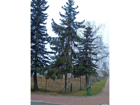 Foto 21